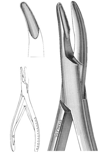 RE-DM-2568 